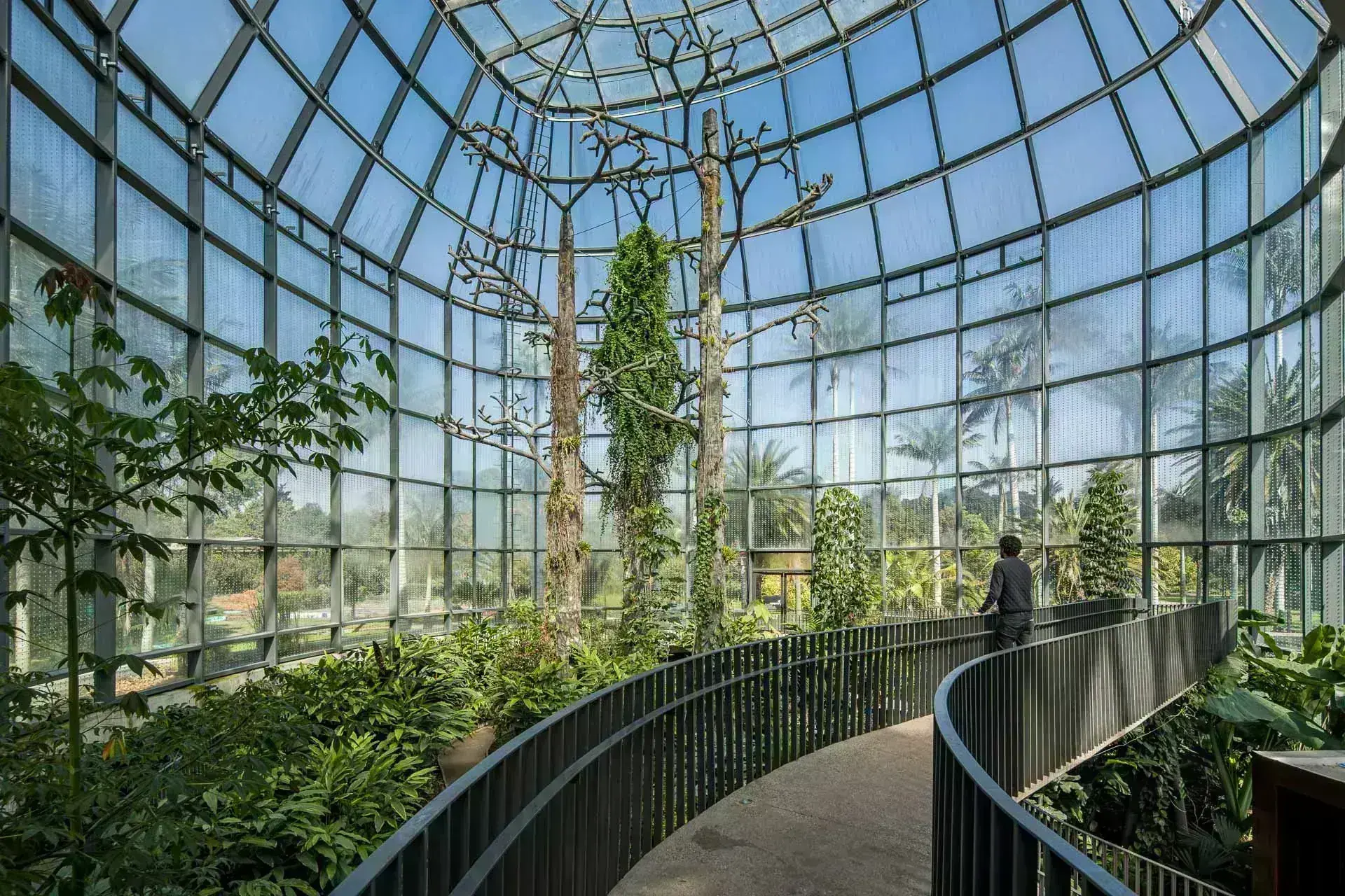 Volúmenes curvos de vidrio y concreto del Tropicario en el Jardín Botánico de Bogotá por DAARP.
